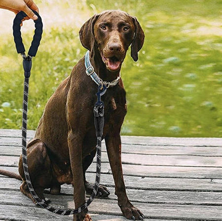 Smycz dla Dużego Psa Linka Gruba Odblaskowa 3 m PURLOV