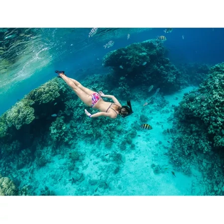 Maska do Nurkowania Pełnotwarzowa S / M Składana do Pływania Snorkelingu TRIZAND