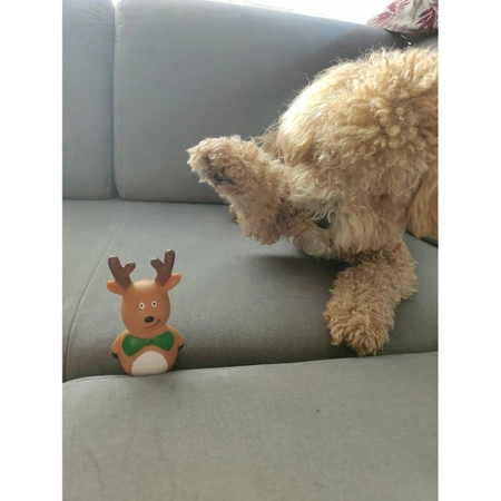 Zabawki dla Psa Zestaw Gryzak Szarpak 6 elementów Zabawka na Prezent Święta