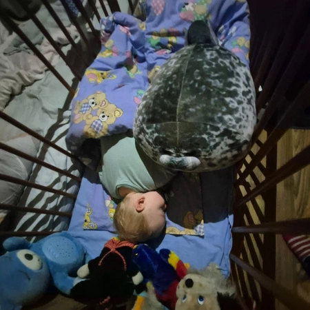 Maskotka Pluszak Poduszka Foka Zabawka Przytulanka Poduszka dla Dzieci 0+ KRUZZEL