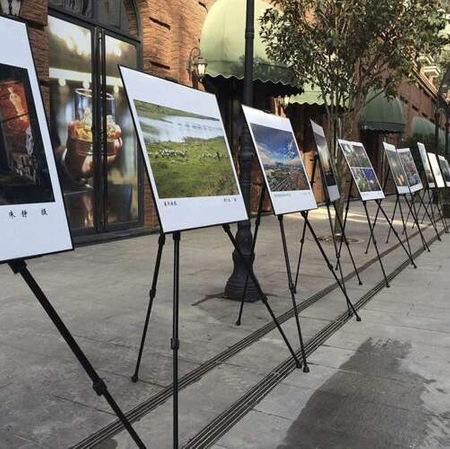 Sztaluga Malarska Trójnożna Zestaw Malarski + Etui do Malowania Regulowana MAALEO