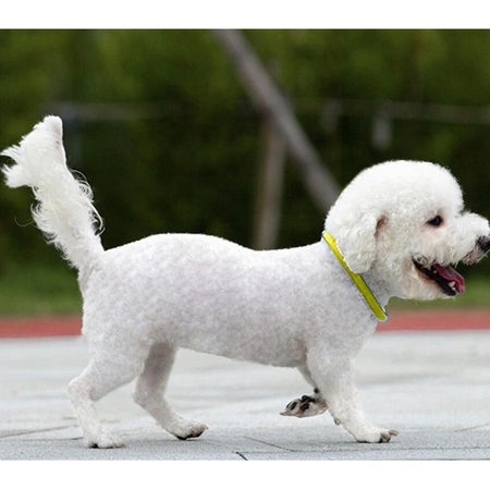 Obroża dla Psa Świecąca LED Kota USB Regulowana 70 cm Ładowana z Regulacją PURLOV