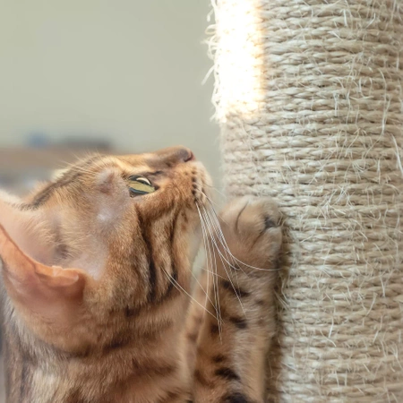 Drapak dla Kota Legowisko Słupek Domek dla Kotów PURLOV