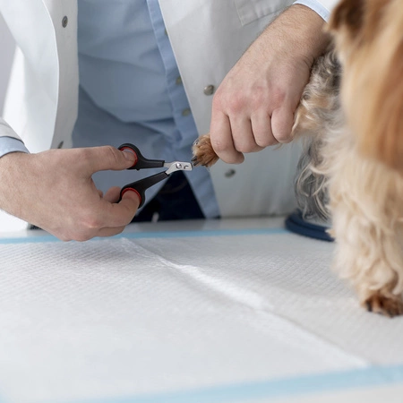 Podkłady Higieniczne dla Psa Maty Chłonne + Worki