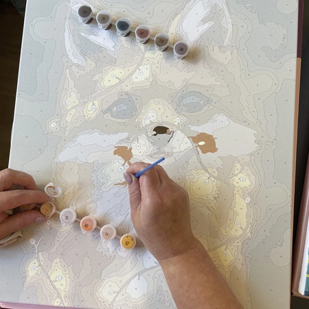 Malowanie po Numerach Obraz 40x50 Zestaw do Malowania na Prezent Ramie DIY