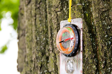 Kompas Mapowy Płytkowy Podziałka Busola Mapnik TRIZAND