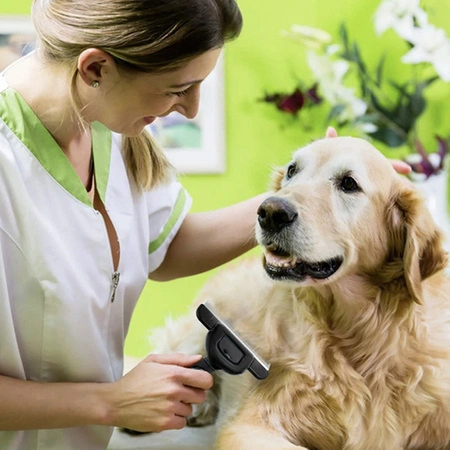 Zgrzebło Szczotka dla Psa Kota Trymer do Sierści Usuwa Martwy Włos Grzebień PURLOV