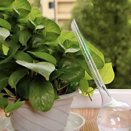 Kule Nawadniające do Kwiatów Roślin Dozownik Wody GARDLOV