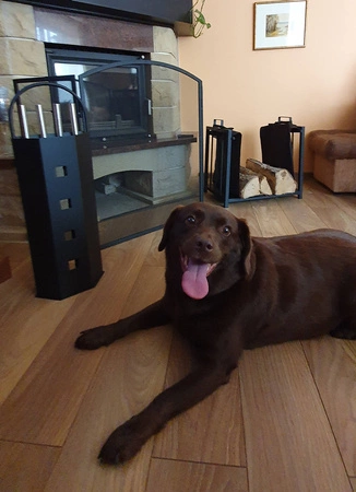 Kosz na Drewno Kominkowe Stojak Przybory Akcesoria KAMINER