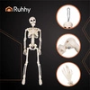 Szkielet Kościotrup na Halloween Wiszący Dekoracja Ruchomy Kości 40 cm Ruhhy 26027