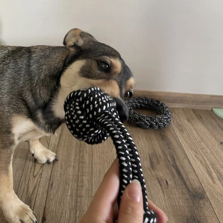 Zestaw Zabawek dla Psa Szarpak Gryzak Piłka Zabawki 10 szt Małego Średniego PURLOV