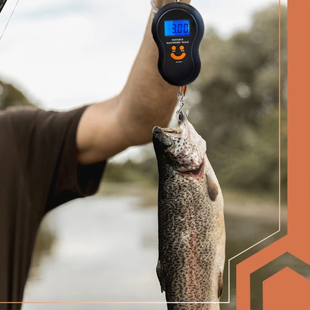 Waga Hakowa Bagażowa Ruhhy Elektroniczna z Wyświetlaczem LED do 50kg Tara