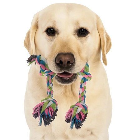 Szarpak dla Psa Zabawka Sznur z Supłami Duży Zestaw Zabawek dla Psów 16w1 Purlov 25384
