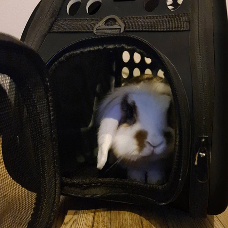 Transporter Torba dla Psa Kota Królika Kojec Mocny PURLOV