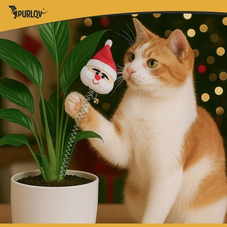 Zabawki dla Kota PURLOV Zestaw Zabawek na Święta 6el Piłki Sprężynki Pompon