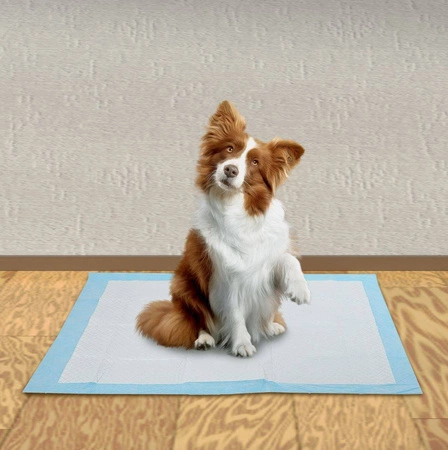 Podkład Higieniczny Chłonny x 100 + Worki x 30 szt PURLOV