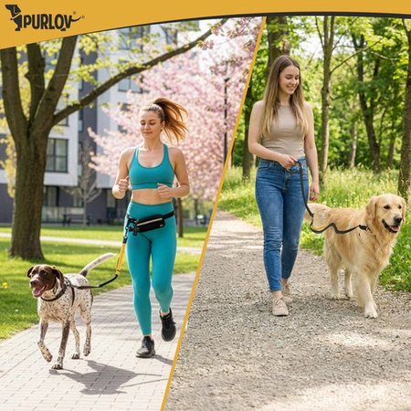 Pas biodrowy ze smyczą Purlov 24689