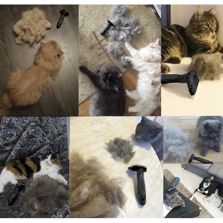 Zgrzebło Szczotka dla Psa Kota Trymer do Sierści Usuwa Martwy Włos Grzebień PURLOV