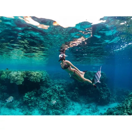 Maska do Nurkowania Pełnotwarzowa S / M Składana do Pływania Snorkelingu TRIZAND