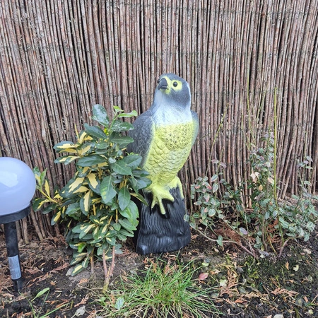 Odstraszacz Ptaków Gołębi Szpaków Sokół Jastrząb na Ptaki Myszy Makieta XXL REPEST