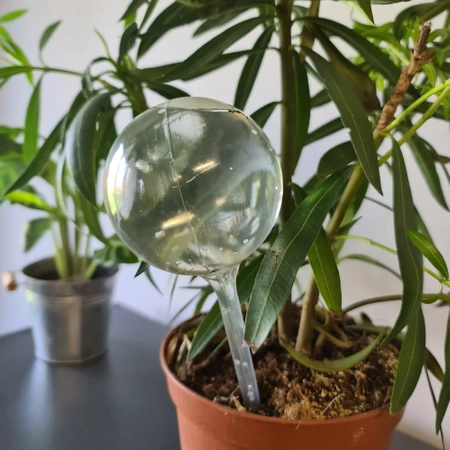 Kule Nawadniające do Kwiatów Roślin Dozownik Wody GARDLOV