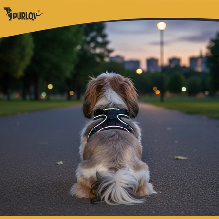 Szelki Bezuciskowe Purlov Guard Dla Psa Kota Regulowane Spacerowe Mocne