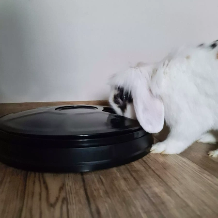 Automatyczny czarny podajnik karmy marki PURLOV