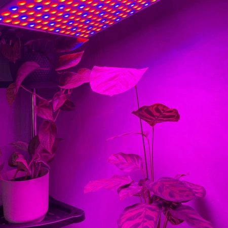 Lampa do Wzrostu Roślin Panel do Uprawy 225 LED + Liny Mocna 36W Wisząca GARDLOV