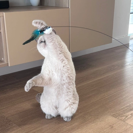 Zabawka dla Kota Kotów Ruchoma Wędka z Przysawką PURLOV