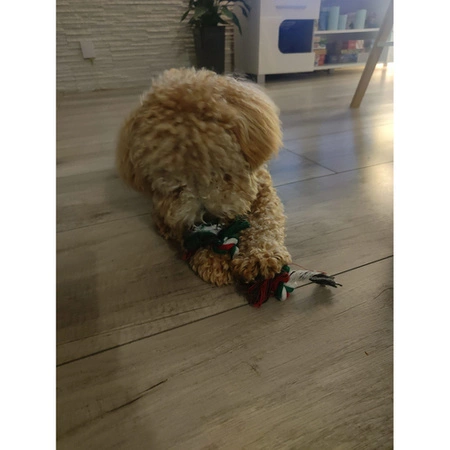 Zabawki dla Psa Zestaw Gryzak Szarpak 6 elementów Zabawka na Prezent Święta