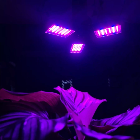 Lampa do Wzrostu Uprawy Roślin Panel LED Żarówka GARDLOV