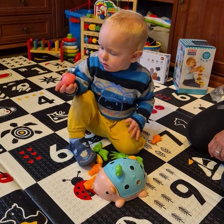 Jeżyk Zabawka Edukacyjna Sorter Układanka Sensoryczna Montessori dla Dzieci KRUZZEL