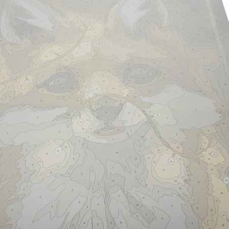 Malowanie po Numerach Obraz 40x50 Zestaw do Malowania na Prezent Ramie DIY