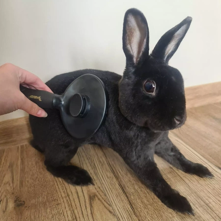 Szczotka Samoczyszcząca do Sierści dla Psa Kota PURLOV