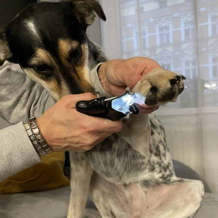 Obcinaczki do Pazurów dla Psa Kota LED Nożyczki Obcinacz Cążki Cęgi Pilnik PURLOV