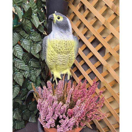 Odstraszacz Ptaków Gołębi Szpaków Sokół Jastrząb na Ptaki Myszy Makieta XXL REPEST