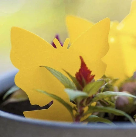 Żółte Lepy do Doniczki na Owady Ziemiórki 12szt REPEST