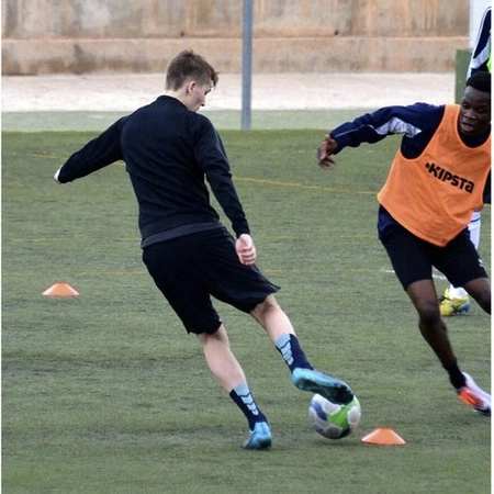 Pachołki Treningowe Zestaw Talerzyki do Piłki Grzybki Elastyczne 50szt 20cm TRIZAND