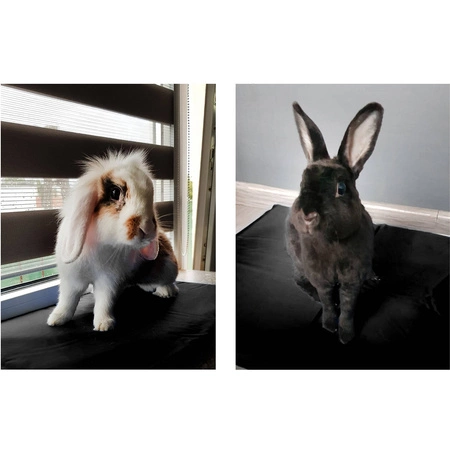 Mata Chłodząca dla Psa Kota Legowisko XXL aż 88x49,5 cm PURLOV