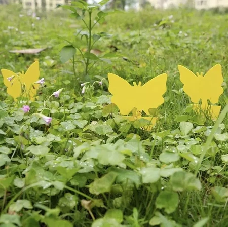 Żółte Lepy do Doniczki na Owady Ziemiórki 12szt REPEST