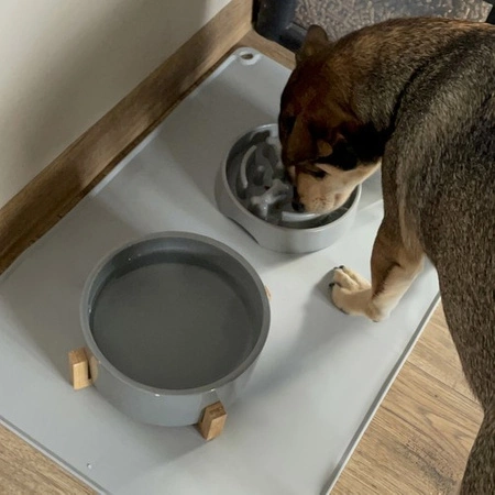 Podkładka Mata pod Miskę dla Psa Kota Wodoodporna Antypoślizgowa 60x40 XXL PURLOV