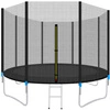 Trampolina Ogrodowa 312cm Drabinka + Siatka 10ft MALATEC