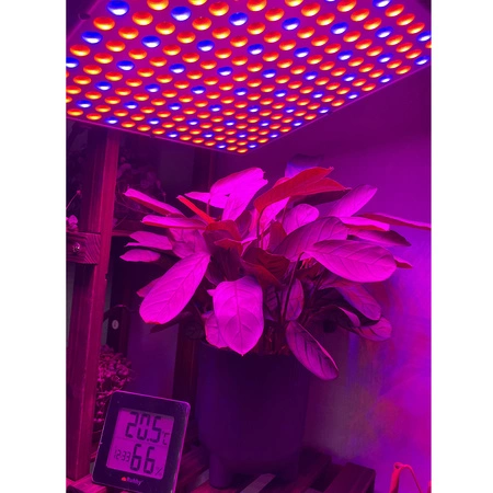 Lampa do Wzrostu Roślin Panel do Uprawy 225 LED + Liny Mocna 36W Wisząca GARDLOV