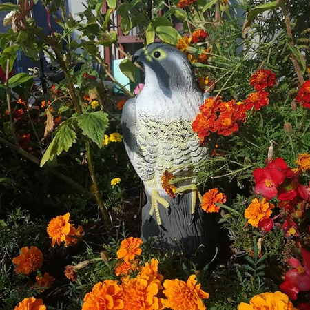 Odstraszacz Ptaków Gołębi Szpaków Sokół Jastrząb na Ptaki Myszy Makieta XXL REPEST