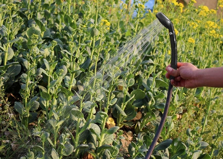 Prysznic Przenośny 12V Natrysk Turystyczny Camping TRIZAND