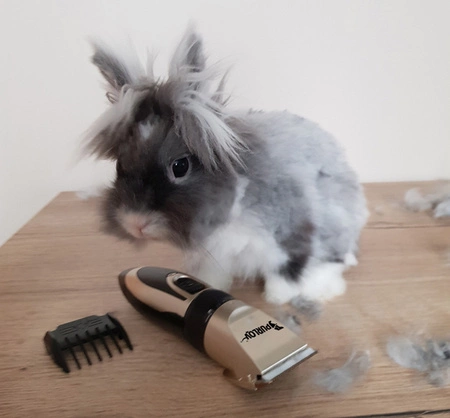 Maszynka do Strzyżenia Psów Zwierząt Psa Zestaw Cicha Bezprzewodowa Mocna PURLOV