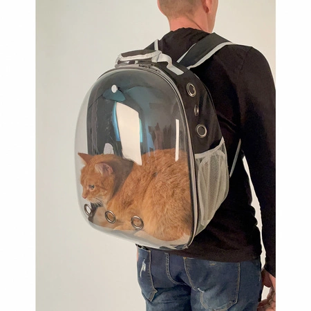 Plecak Transporter dla Kota Małego Psa Torba z Otworami Przezroczysty Mocny PURLOV