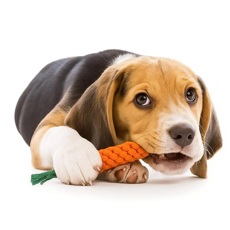 Szarpak dla Psa Zabawka Sznur z Supłami Duży Zestaw Zabawek dla Psów 16w1 Purlov 25384