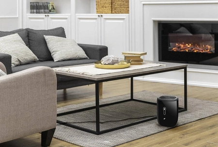 Osuszacz Powietrza Pochłaniacz Wilgoci Cichy 0,8l RUHHY