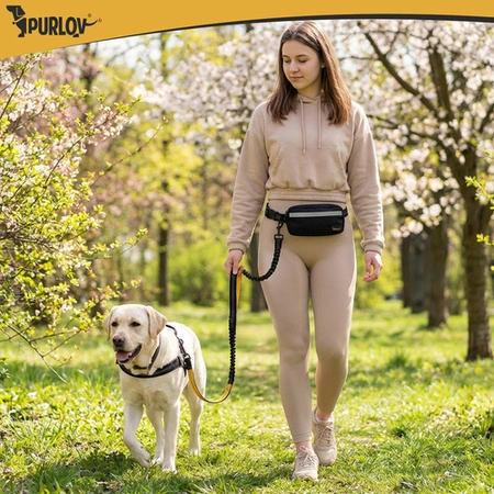 Pas biodrowy ze smyczą Purlov 24689